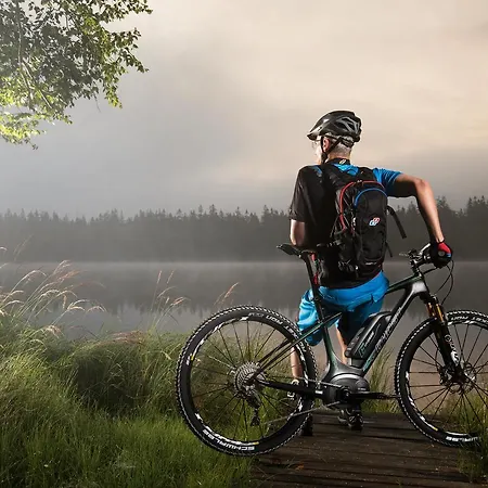 ホテル Alpenhotel Kuechl 3*