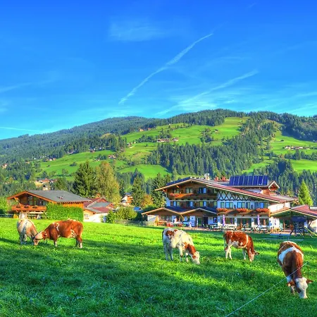 Alpenhotel Kuechl Hotell 3*
